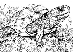 Very realistic turtle with many details